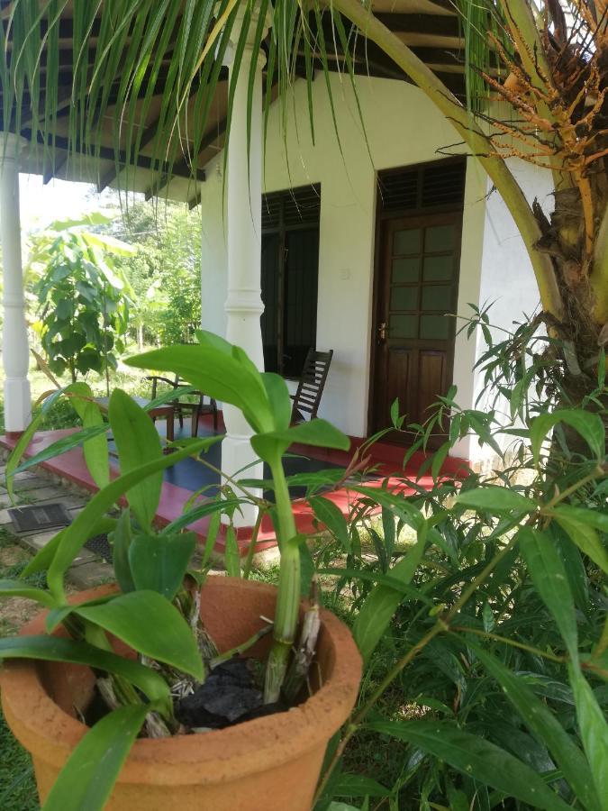 Bay Hill Guest House Тангалла Экстерьер фото