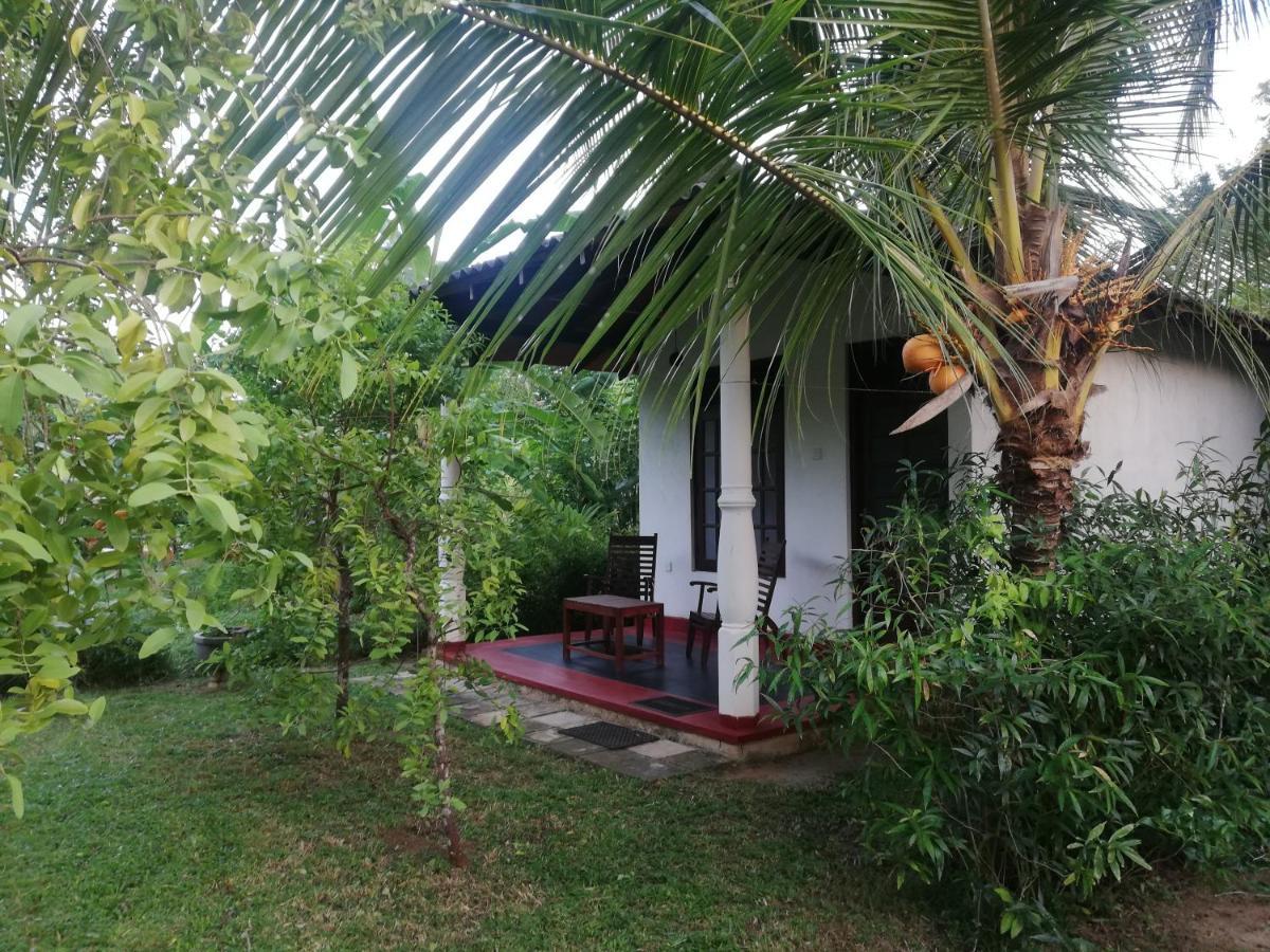 Bay Hill Guest House Тангалла Экстерьер фото
