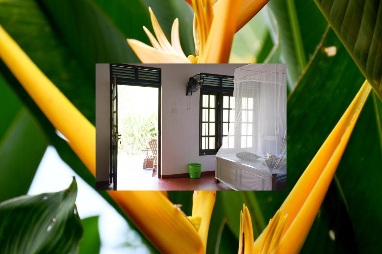 Bay Hill Guest House Тангалла Экстерьер фото